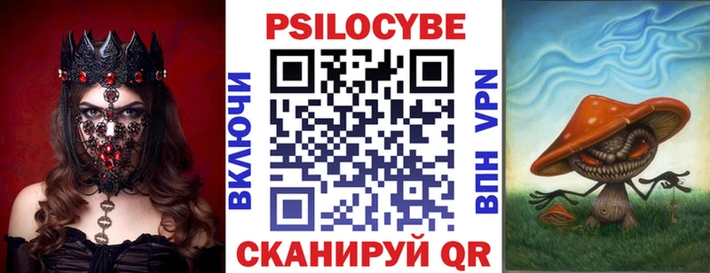 что такое наркотик  Ершов  Галлюциногенные грибы Psilocybe 